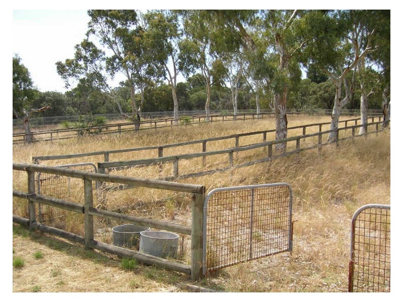 521 Russell Road, Beeliar WA 6164