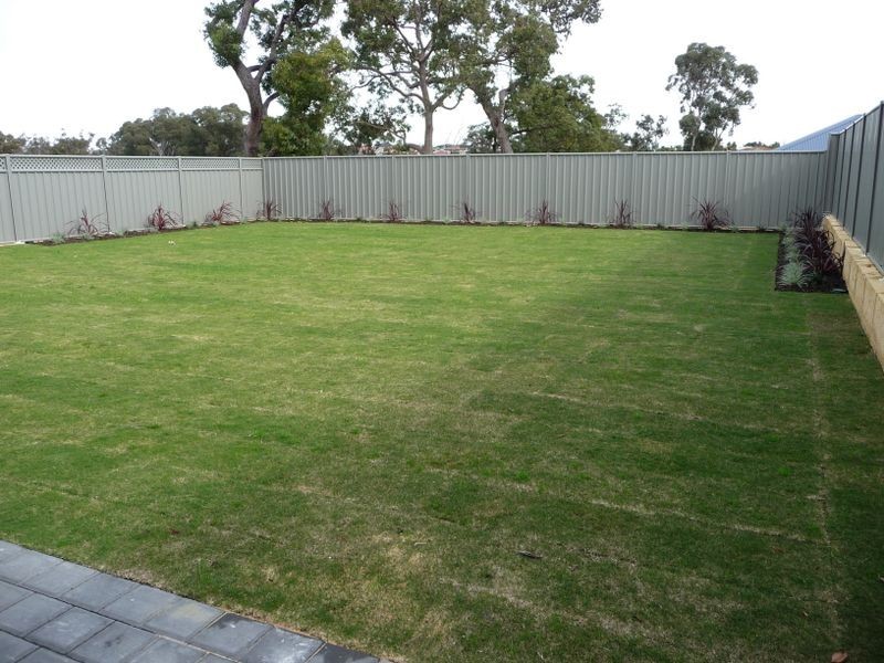 3 Fareham Crescent, Wellard WA 6170