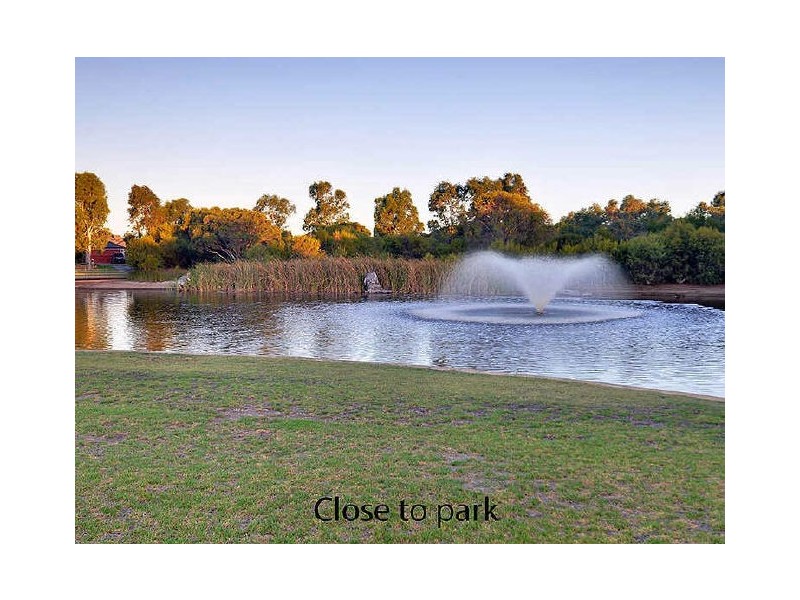 19 Dryandra Elbow, Atwell WA 6164