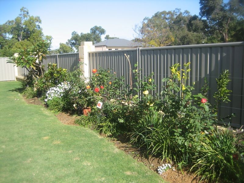 10 Charvil Mews, Wellard WA 6170