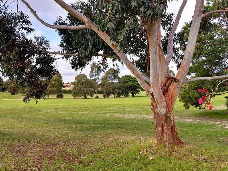 147 Glen Iris Drive, Jandakot WA 6164