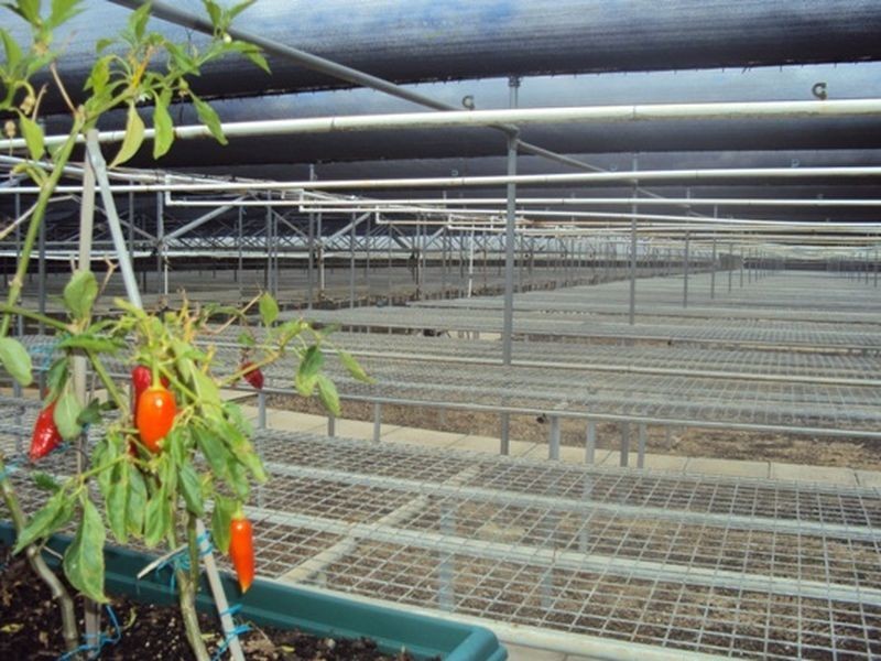 120 The Horseshoe Drive, Wandi WA 6167