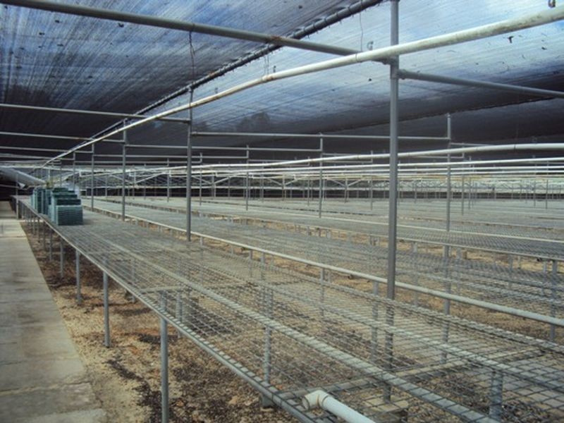 120 The Horseshoe Drive, Wandi WA 6167