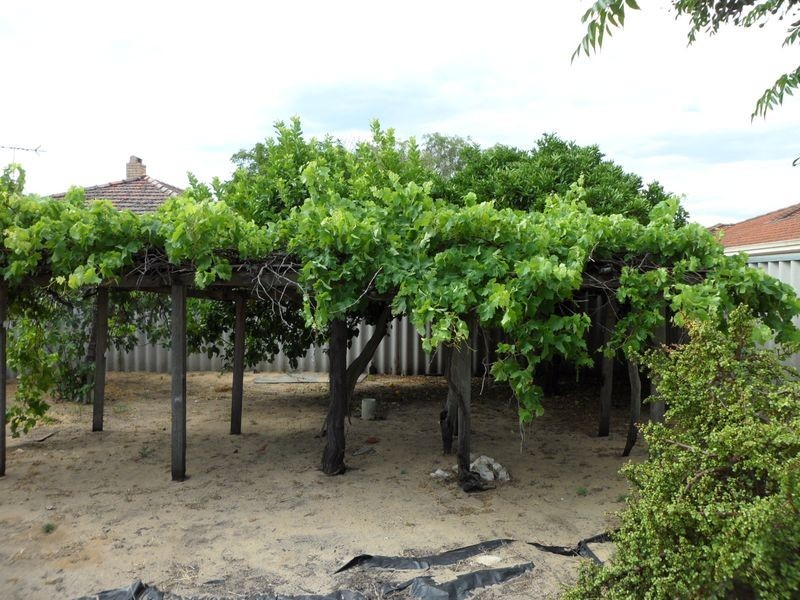 4B Rennie Crescent, Hilton WA 6163