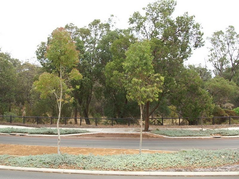 59 Henley Boulevard, Wellard WA 6170
