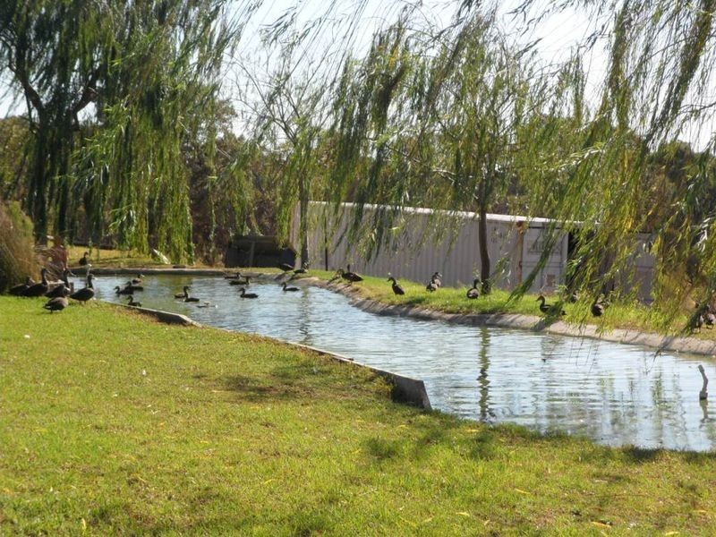 173 Solomon Road, Jandakot WA 6164