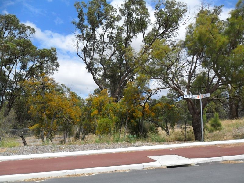 14 Fertito Entrance, Success WA 6164