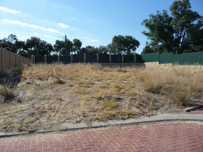 20 Calytrix Crescent, Success WA 6164