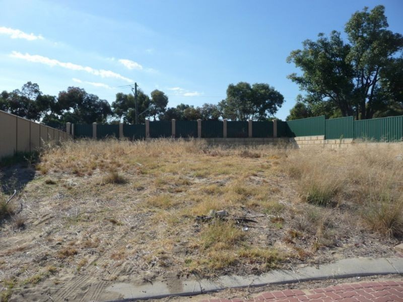 20 Calytrix Crescent, Success WA 6164