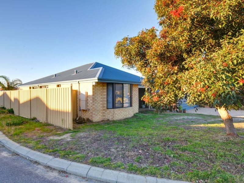 19 Ranunculus Court, Beeliar WA 6164