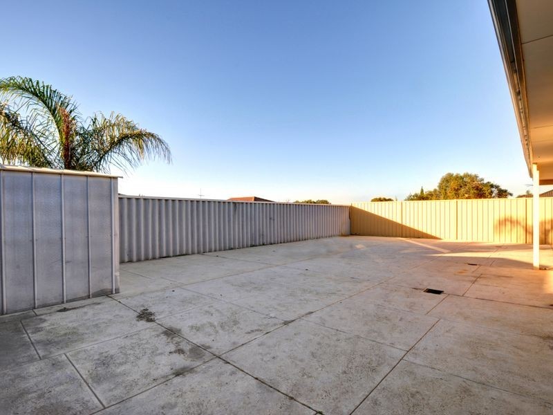 19 Ranunculus Court, Beeliar WA 6164