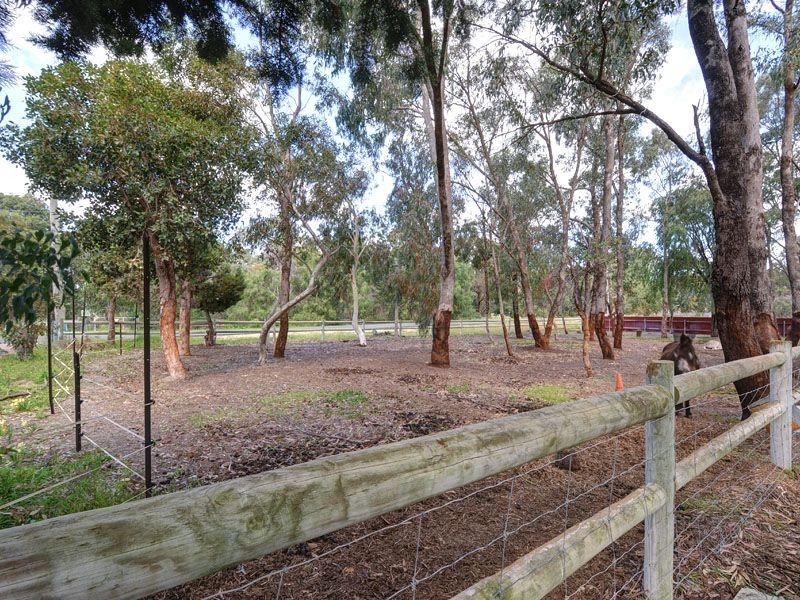 129 Lorimer Road, Munster WA 6166