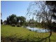 173 Solomon Road, Jandakot WA 6164