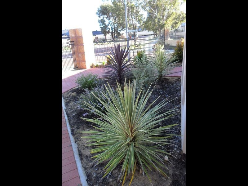 15 Friend Terrace, Baldivis WA 6171