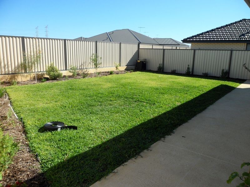 16 Spruce Terrace, Aubin Grove WA 6164