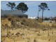 2 Pitch Way, Aubin Grove WA 6164