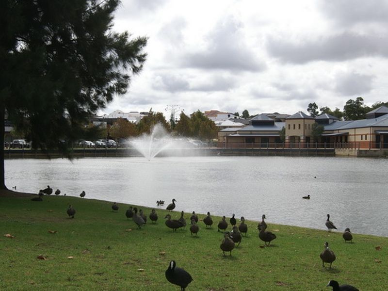 2 Goshawk Pass, Beeliar WA 6164