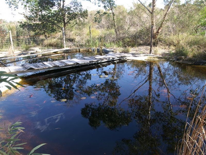 31 Wilga Court, Banjup WA 6164