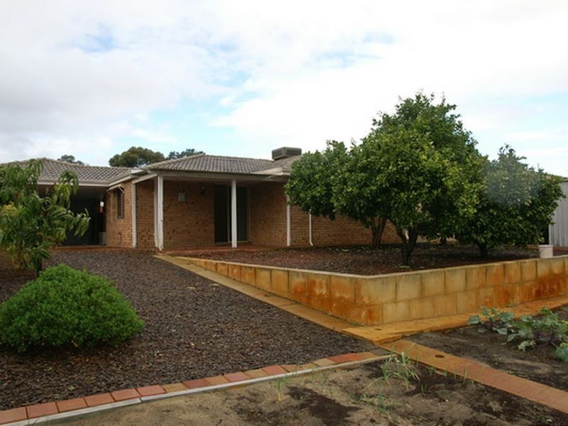 13 Bloodwood Circle, South Lake WA 6164