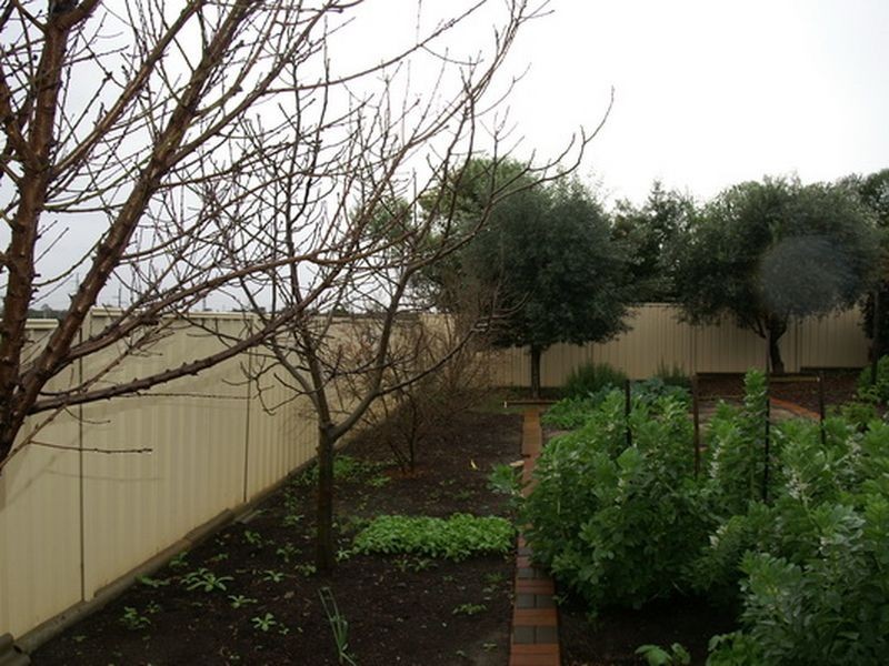 13 Bloodwood Circle, South Lake WA 6164