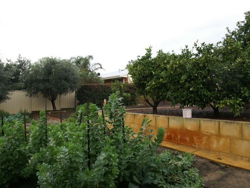 13 Bloodwood Circle, South Lake WA 6164