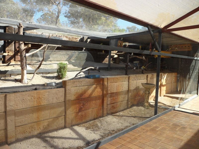 173 Solomon Road, Jandakot WA 6164