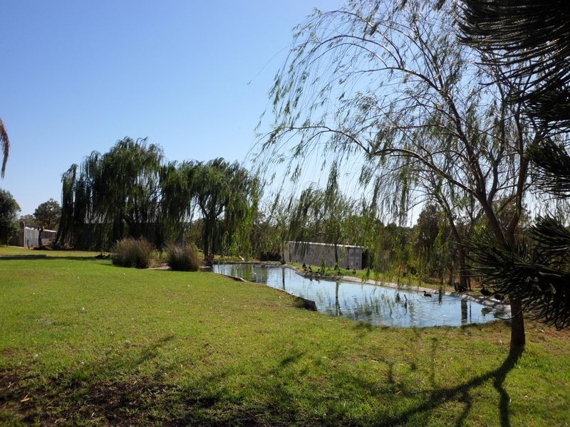 173 Solomon Road, Jandakot WA 6164