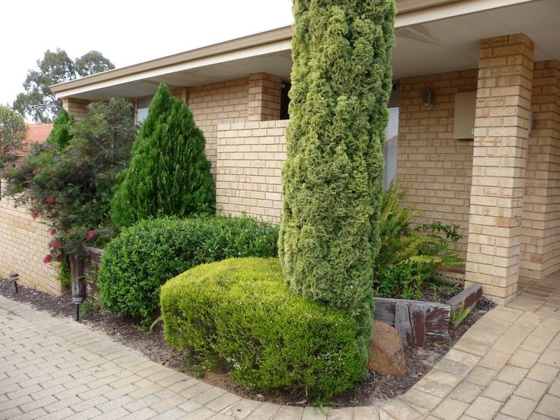 11/12 Philmore Crescent, Kardinya WA 6163