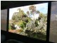 113 Plover Drive, Yangebup WA 6164