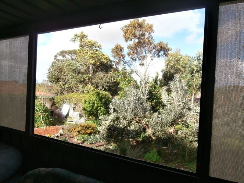 113 Plover Drive, Yangebup WA 6164