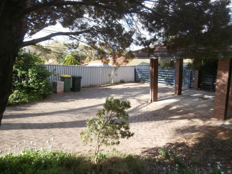 113 Plover Drive, Yangebup WA 6164