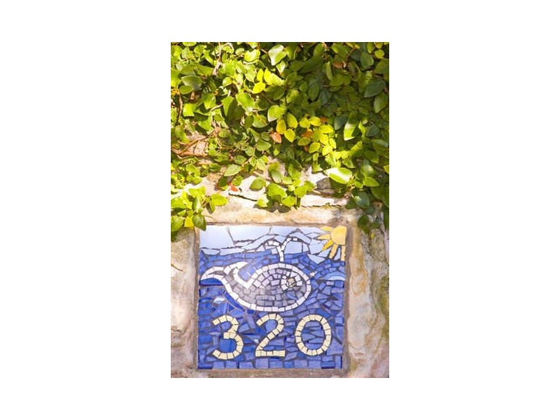 320 Whale Beach Road, Palm Beach NSW 2108