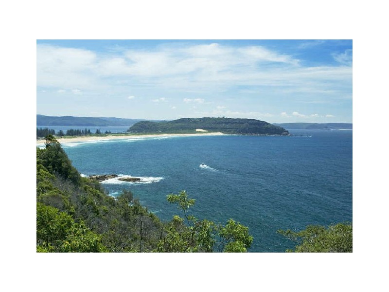 342 Whale Beach Road, Palm Beach NSW 2108