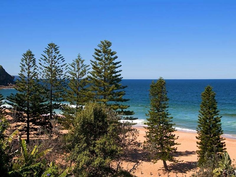 213 Whale Beach Road, Whale Beach NSW 2107