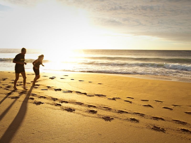 218 Whale Beach Road, Whale Beach NSW 2107