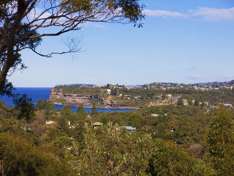 25 Rayner Road, Whale Beach NSW 2107