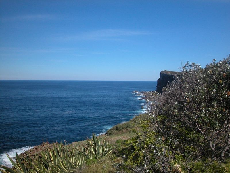 18 Watkins Road, Avalon NSW 2107