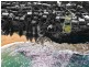 287 Whale Beach Road, Whale Beach NSW 2107