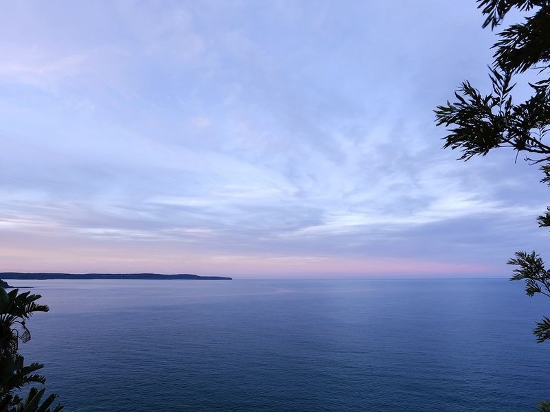 354 Whale Beach Road, Palm Beach NSW 2108