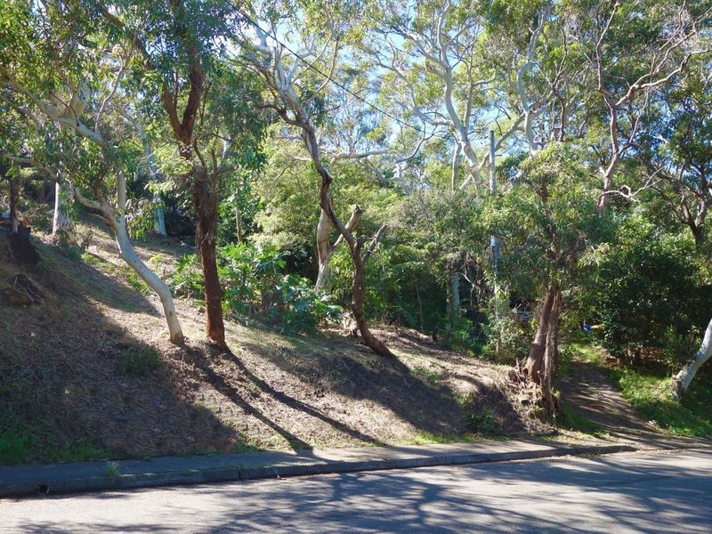 131 Whale Beach Road, Avalon Beach NSW 2107