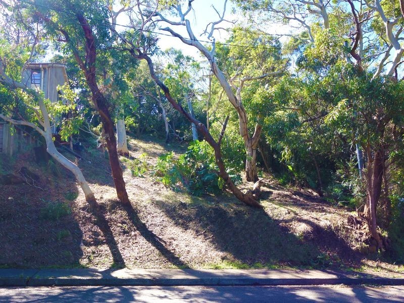 131 Whale Beach Road, Avalon Beach NSW 2107