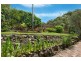 1 York Terrace, Bilgola Plateau NSW 2107