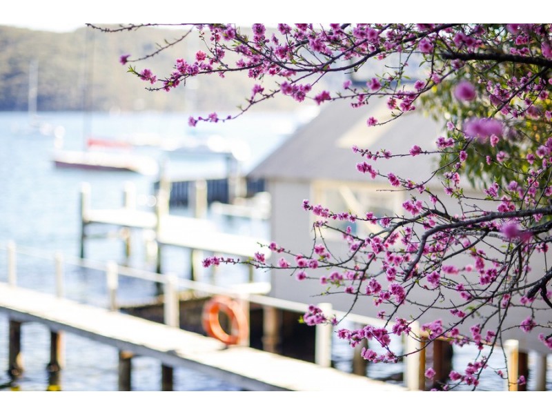 4 Paradise Avenue, Clareville NSW 2107