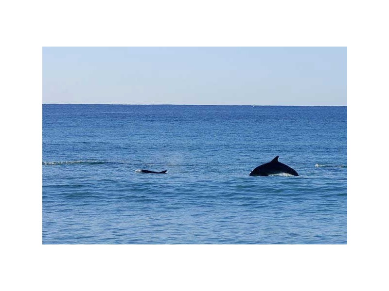 Palm Beach NSW 2108