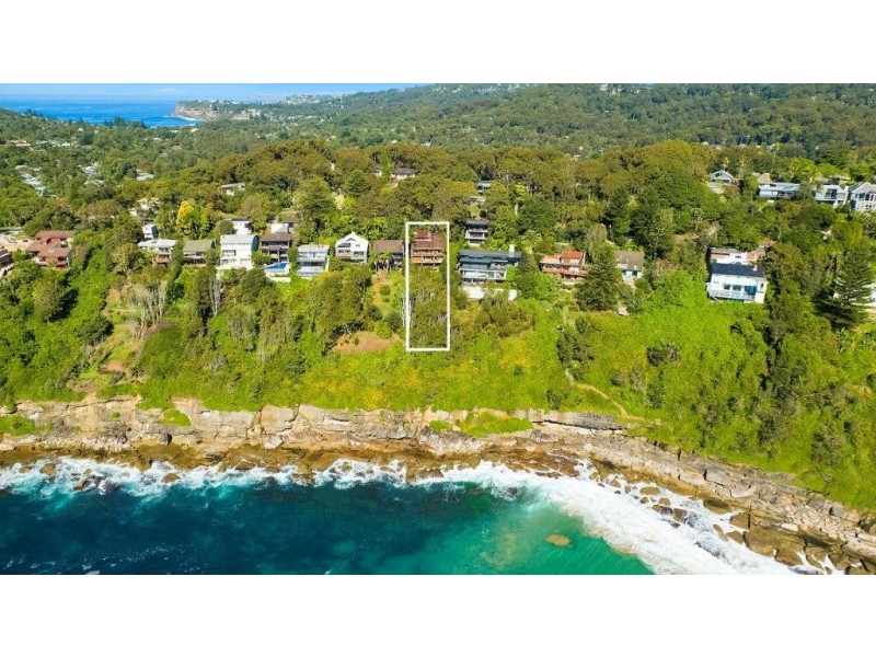 163 Whale Beach Road, Whale Beach NSW 2107