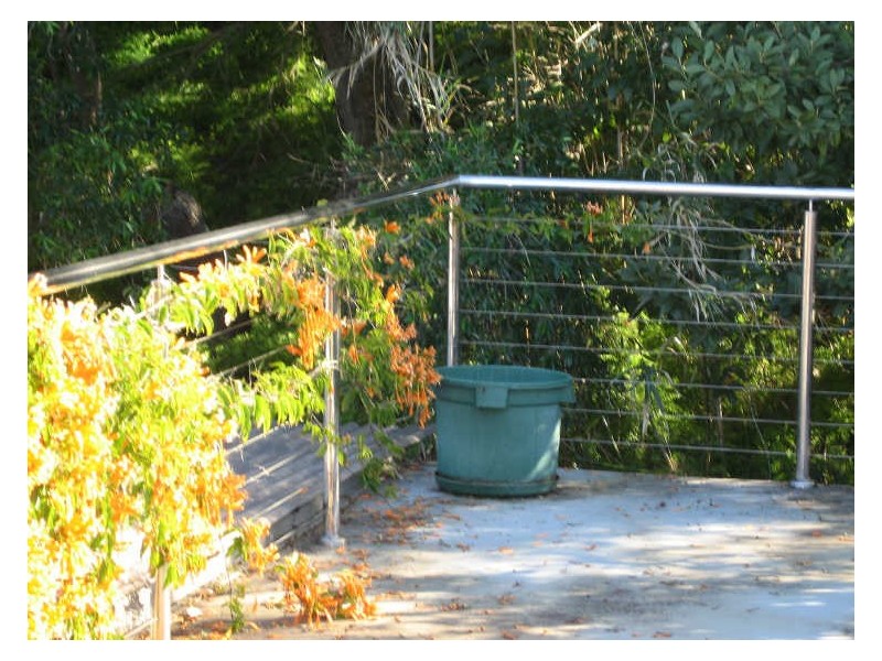 Whale Beach NSW 2107