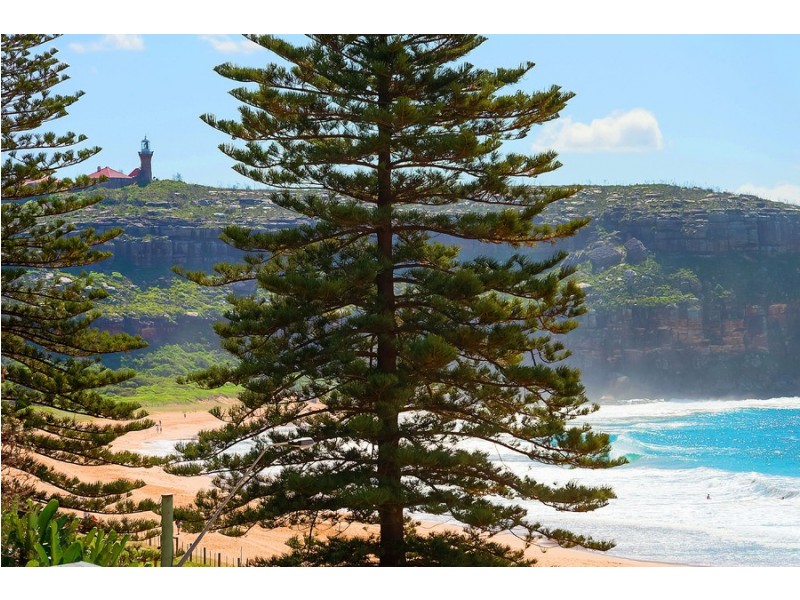 6 Ocean Road, Palm Beach NSW 2108