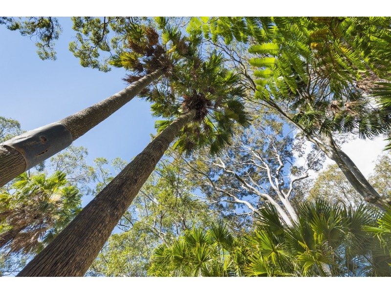 47 Florida Road, Palm Beach NSW 2108