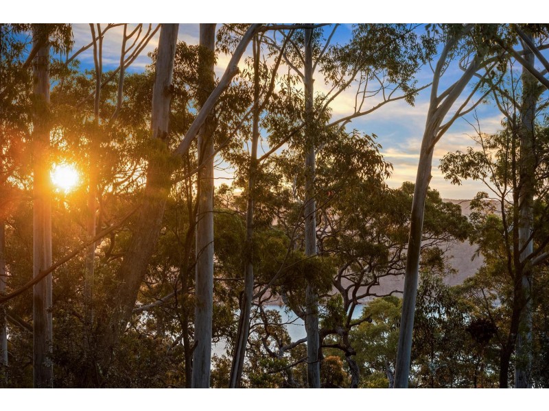 10 Ebor Road, Palm Beach NSW 2108