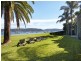 4-6 Iluka Road, Palm Beach NSW 2108
